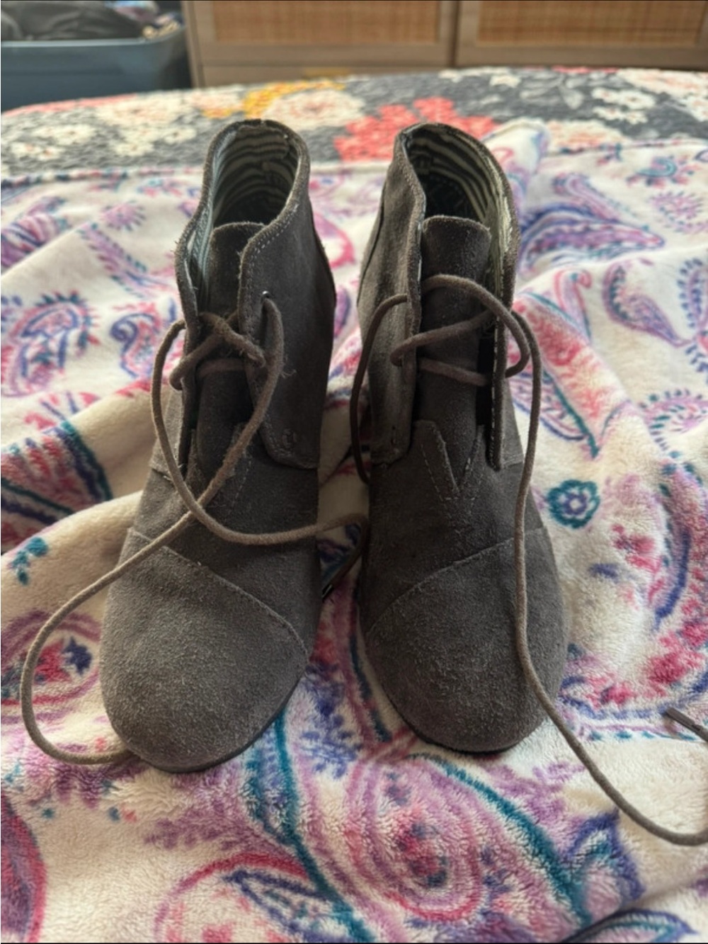 Suede Lace-Up Ankle Boots - Dark Gray/Toms